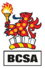 BSCA X STRUMIS